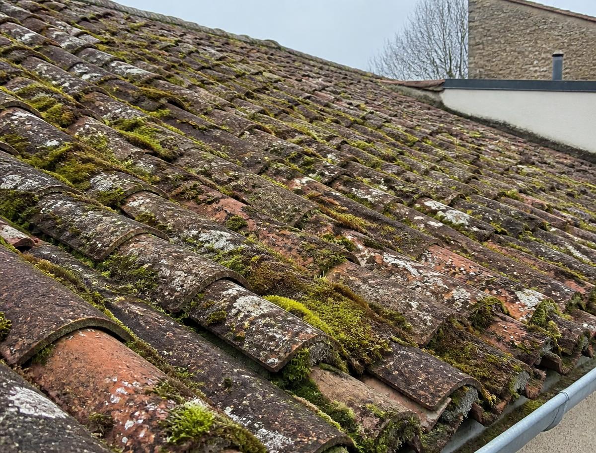 Toiture en tuiles couverte de mousse et de lichen avant démoussage